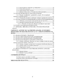 Analiza economico financiară la SC Agrana România SA Buzău - Pagina 2