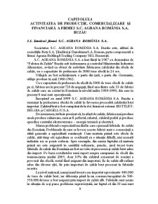 Analiza economico financiară la SC Agrana România SA Buzău - Pagina 5