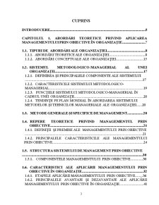 Particularități ale Aplicării Managementului prin Obiective în Organizația Militară - Pagina 3