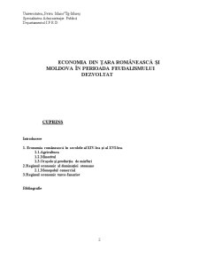 Economia în Tara Românească și Moldova în feudalismul dezvoltat - Pagina 2