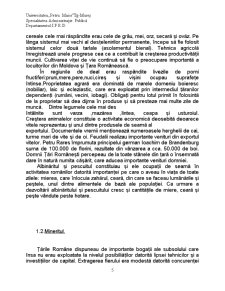 Economia în Tara Românească și Moldova în feudalismul dezvoltat - Pagina 5