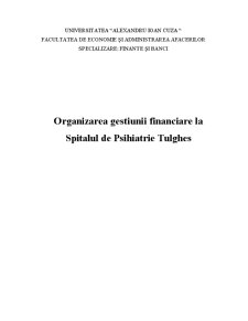 Organizarea gestiunii financiare la Spitalul de Psihiatrie Tulgheș - Pagina 1