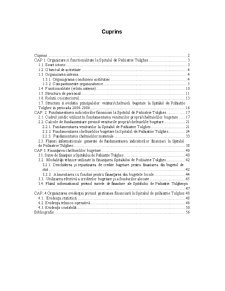 Organizarea gestiunii financiare la Spitalul de Psihiatrie Tulgheș - Pagina 2