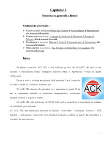 Raport practică la SC A.C.K SRL Pașcani - Pagina 5