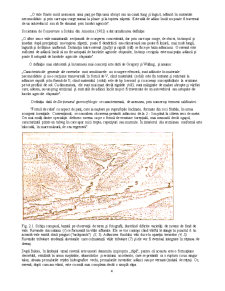 Hazardele Exogene - Ravenarea - Pagina 4
