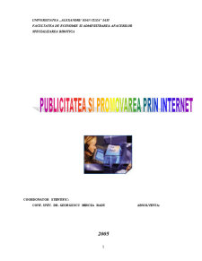 Publicitatea și Promovarea prin Internet - Pagina 2