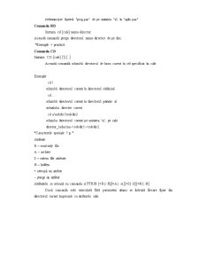 Sistemul de Operare MS - DOS - Pagina 4