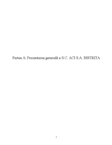 Analiza economico-financiară a unei firme - SC ACI SA Bistrița - Pagina 3