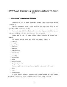 Monografie financiară la Spitalul Sfânta Maria Iași - Pagina 3