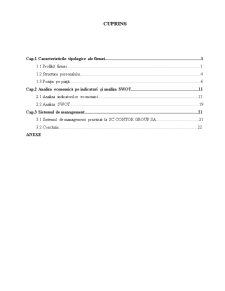 Analiza Indicatori Economici și Analiza SWOT - SC Contor Group SA - Pagina 1