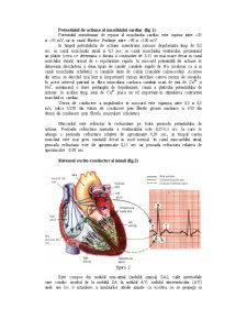 Electrocardiograma - Pagina 2