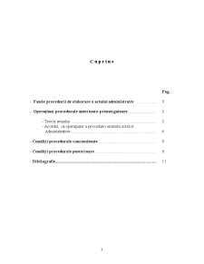 Procedura emiterii actului administrativ - Pagina 2