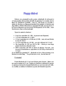 Floppy Disk-ul - Pagina 1