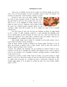Nutriția vegetariană - Pagina 4