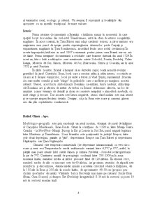 Monografia stațiunii în devenire - Bran - Pagina 4