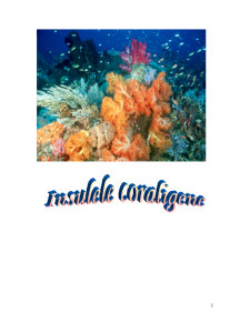 Insulele Coraligene - Pagina 1
