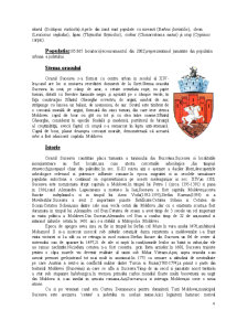 Municipiul Suceava - Pagina 4