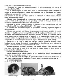 Chinchilla - Generalitati, Crestere, Tratamente, Hrana, Sfaturi - Pagina 2