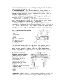 Construcția și Funcționarea Frigiderului - Pagina 3
