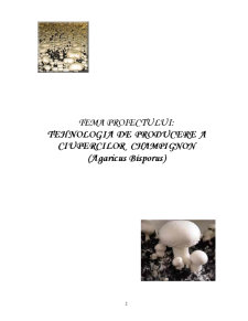 Tehnologia de Producere a Ciupercilor Champignon - Agaricus Bisporus - Pagina 2