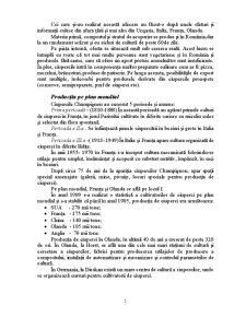 Tehnologia de Producere a Ciupercilor Champignon - Agaricus Bisporus - Pagina 5