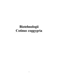 Biotehnologii - Cotinus Coggygria - Pagina 1