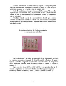Biotehnologii - Cotinus Coggygria - Pagina 3