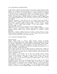 Valorificarea potențialului turistic al județului Neamț - Pagina 1