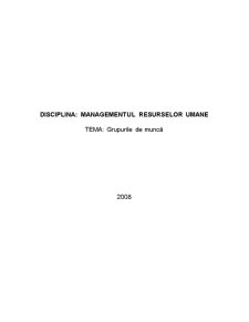 Managementul Resurselor Umane - Grupurile de Munca - Pagina 1