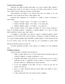 Plan de afaceri pentru o firmă producătoare de papirusuri - Pagina 2