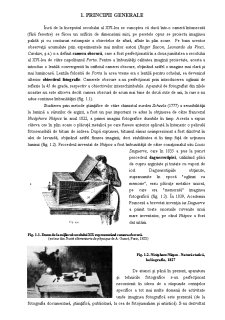 Bazele Fotografiei și Operatoriei - Pagina 5