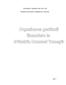 Organizarea gestiunii financiare la Primăria Comunei Tomești - Pagina 1