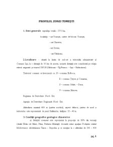 Organizarea gestiunii financiare la Primăria Comunei Tomești - Pagina 4