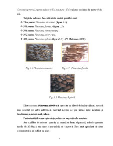 Analiza Procesului de Cultivare a Ciupercilor Pleurotus - Pagina 4