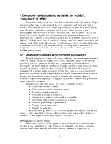 Aplicație Informatică privind Salarizarea în IMM-uri - Pagina 2