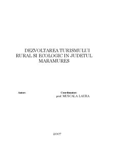 Dezvoltarea turismului rural și ecologic în județul Maramureș - Pagina 1