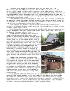 Dezvoltarea turismului rural și ecologic în județul Maramureș - Pagina 5