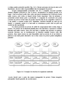Managementul operațional - managementul proiectelor - Pagina 3
