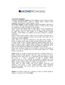 Analiza situației manageriale a postului The Money Channel - Pagina 2