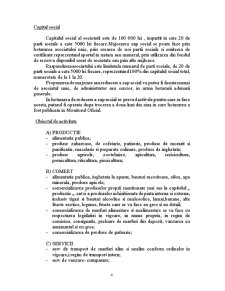 Studiu de Fezabilitate - SC Dante Impex 2010 SRL - Pagina 4