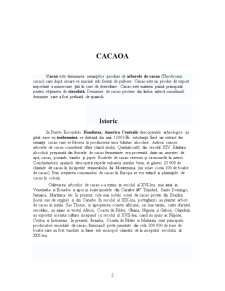 Cacao. Generalitati. Valorificare - Pagina 2