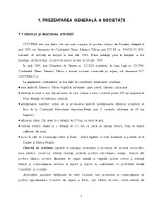 Analiza financiară a SC Oltchim Râmnicul Vâlcea - Pagina 3