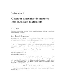 Calculul funcțiilor de matrice exponențială matriceală - Pagina 1
