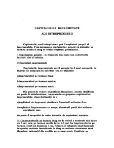 Capitalurile împrumutate ale întreprinderii - Pagina 1