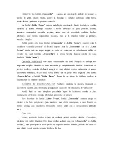 Analiza comparativă a front-office-ului între Hotelul Concordia și Hotelul Little Texas, Iași - Pagina 4