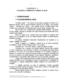 Tipuri de Drept - Public, Privat, Penal, International - In Sistemele Juridice - Pagina 4