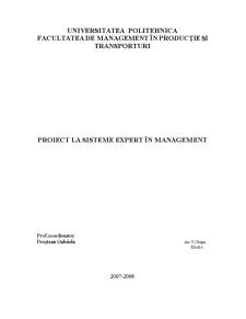 Proiect la Sisteme Expert în Management - Pagina 1