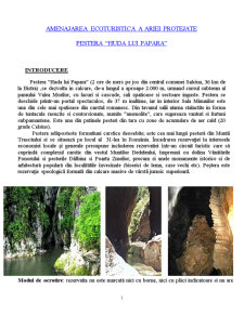 Amenajarea ecoturistică a ariei protejate - Peștera Huda lui Papară - Pagina 1