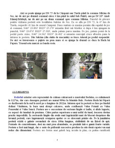 Amenajarea ecoturistică a ariei protejate - Peștera Huda lui Papară - Pagina 4