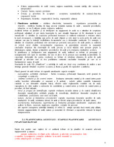 Audit Financiar Bancar - Pagina 6